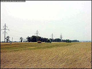    "Алтайские хлеборобы выбирают новые комбайны"