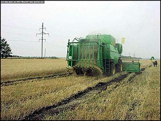    "Алтайские хлеборобы выбирают новые комбайны"