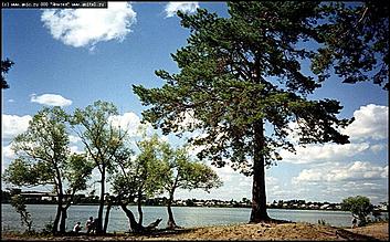    Фотогалерея природных достопримечательностей Алтайского края