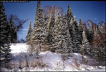    Фотогалерея природных достопримечательностей Алтайского края