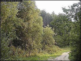    Фотогалерея природных достопримечательностей Алтайского края