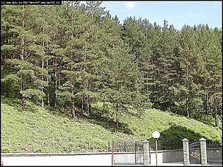    Фотогалерея природных достопримечательностей Алтайского края