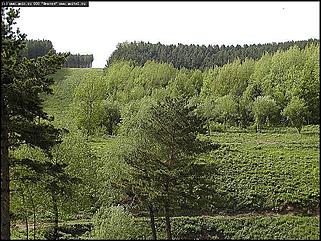    Фотогалерея природных достопримечательностей Алтайского края