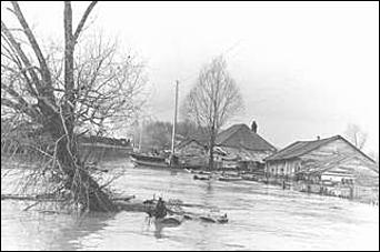    Наводнение в Затоне Барнаул 1958 год.<br><font size="1">/ автор фотографий - Игорь Рогалев /</font>