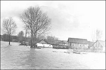    Наводнение в Затоне Барнаул 1958 год.<br><font size="1">/ автор фотографий - Игорь Рогалев /</font>