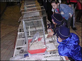    "Фестиваль живой природы"