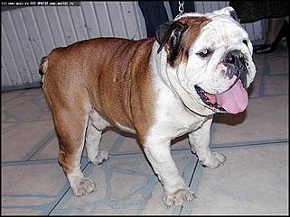    "Фестиваль живой природы"