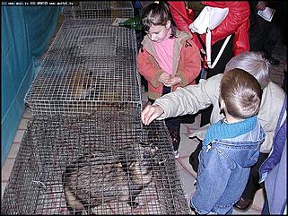    "Фестиваль живой природы"