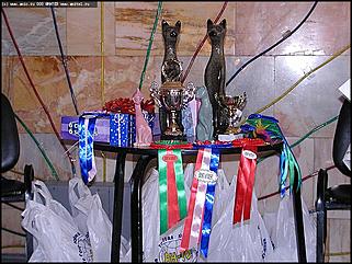    "Фестиваль живой природы"