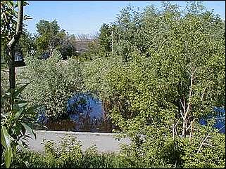    Паводок в Затоне /28 мая 2001/.