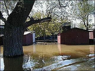    Паводок в Затоне /28 мая 2001/.