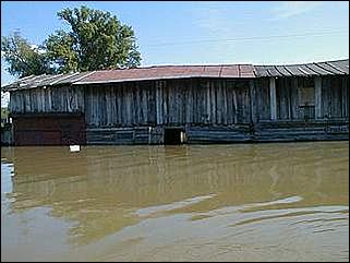    Паводок в Затоне /28 мая 2001/.