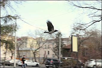 11 -13 апреля 2012 г., Омск   ЭР-Телеком и "Акулы пера" в Омске