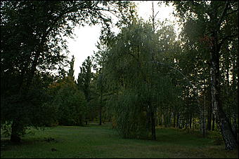 11 сентября 2008 г., Барнаул   Осень в дендрарии НИИ садоводства Сибири им. Лисавенко 