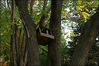 11 сентября 2008 г., Барнаул   Осень в дендрарии НИИ садоводства Сибири им. Лисавенко 