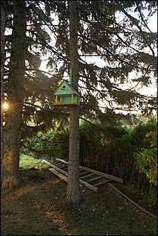 11 сентября 2008 г., Барнаул   Осень в дендрарии НИИ садоводства Сибири им. Лисавенко 