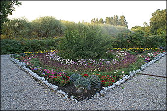 11 сентября 2008 г., Барнаул   Осень в дендрарии НИИ садоводства Сибири им. Лисавенко 