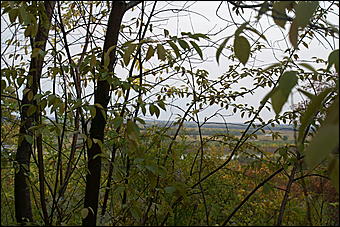 11 сентября 2008 г., Барнаул   Осень в дендрарии НИИ садоводства Сибири им. Лисавенко 