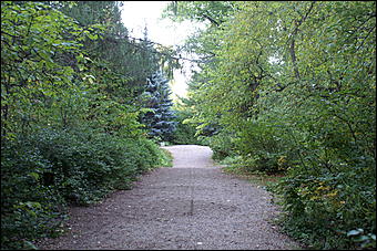 11 сентября 2008 г., Барнаул   Осень в дендрарии НИИ садоводства Сибири им. Лисавенко 