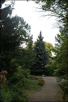 11 сентября 2008 г., Барнаул   Осень в дендрарии НИИ садоводства Сибири им. Лисавенко 