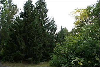 11 сентября 2008 г., Барнаул   Осень в дендрарии НИИ садоводства Сибири им. Лисавенко 