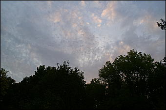 11 сентября 2008 г., Барнаул   Осень в дендрарии НИИ садоводства Сибири им. Лисавенко 