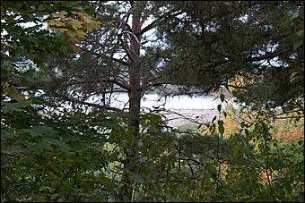 11 сентября 2008 г., Барнаул   Осень в дендрарии НИИ садоводства Сибири им. Лисавенко 