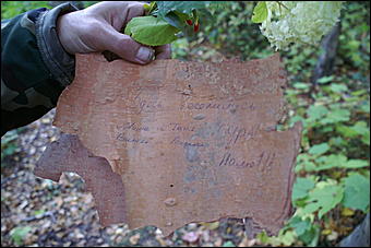 11 сентября 2008 г., Барнаул   Осень в дендрарии НИИ садоводства Сибири им. Лисавенко 