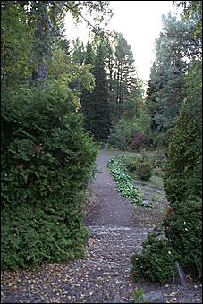 11 сентября 2008 г., Барнаул   Осень в дендрарии НИИ садоводства Сибири им. Лисавенко 