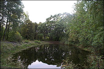 11 сентября 2008 г., Барнаул   Осень в дендрарии НИИ садоводства Сибири им. Лисавенко 