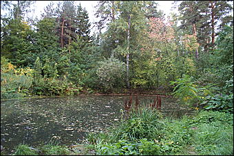 11 сентября 2008 г., Барнаул   Осень в дендрарии НИИ садоводства Сибири им. Лисавенко 