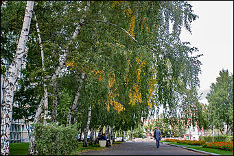 20 сентябрь 2016 г., Барнаул © Амител Вячеслав Мельников   Подарок осени: очарование бабьего лета в Барнауле