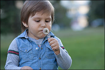 20 сентябрь 2016 г., Барнаул © Амител Вячеслав Мельников   Подарок осени: очарование бабьего лета в Барнауле