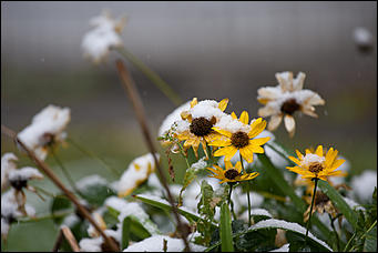 10 октябрь 2016 г., Барнаул © Амител Вячеслав Мельников   Встреча зимы и осени: фотографии с улиц Барнаула 