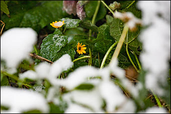 10 октябрь 2016 г., Барнаул © Амител Вячеслав Мельников   Встреча зимы и осени: фотографии с улиц Барнаула 