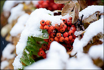 10 октябрь 2016 г., Барнаул © Амител Вячеслав Мельников   Встреча зимы и осени: фотографии с улиц Барнаула 