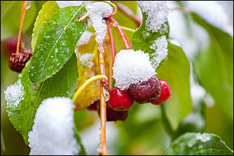 10 октябрь 2016 г., Барнаул © Амител Вячеслав Мельников   Встреча зимы и осени: фотографии с улиц Барнаула 