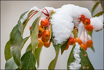 10 октябрь 2016 г., Барнаул © Амител Вячеслав Мельников   Встреча зимы и осени: фотографии с улиц Барнаула 