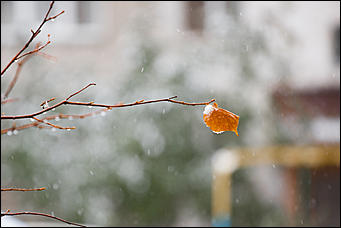 10 октябрь 2016 г., Барнаул © Амител Вячеслав Мельников   Встреча зимы и осени: фотографии с улиц Барнаула 