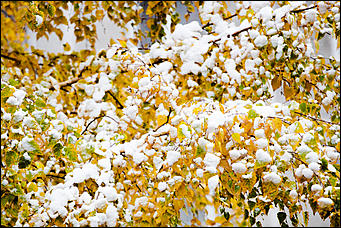 10 октябрь 2016 г., Барнаул © Амител Вячеслав Мельников   Встреча зимы и осени: фотографии с улиц Барнаула 