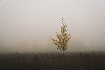 4 октябрь 2016 г., Барнаул Денис Кочетков   Червонное золото листьев опавших: прогулка по октябрьскому Барнаулу