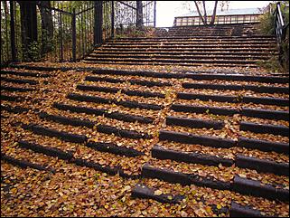 4 октябрь 2016 г., Барнаул Денис Кочетков   Червонное золото листьев опавших: прогулка по октябрьскому Барнаулу