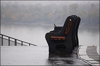 4 октябрь 2016 г., Барнаул Денис Кочетков   Червонное золото листьев опавших: прогулка по октябрьскому Барнаулу