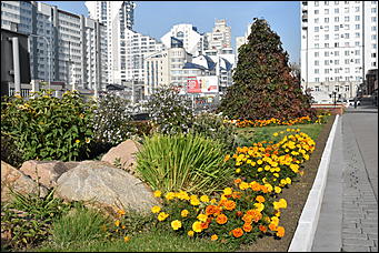 27 сентябрь 2018 г., Барнаул   Осенние краски бабьего лета в Барнауле