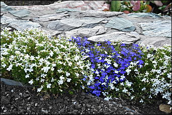 27 сентябрь 2018 г., Барнаул   Осенние краски бабьего лета в Барнауле