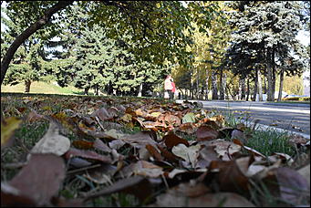 27 сентябрь 2018 г., Барнаул   Осенние краски бабьего лета в Барнауле