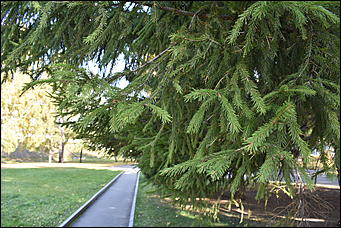 27 сентябрь 2018 г., Барнаул   Осенние краски бабьего лета в Барнауле