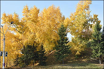 27 сентябрь 2018 г., Барнаул   Осенние краски бабьего лета в Барнауле