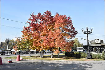 27 сентябрь 2018 г., Барнаул   Осенние краски бабьего лета в Барнауле