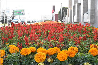 27 сентябрь 2018 г., Барнаул   Осенние краски бабьего лета в Барнауле